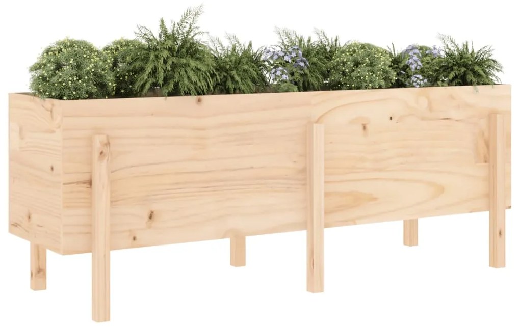 Canteiro elevado de jardim 160x50x57 cm pinho maciço