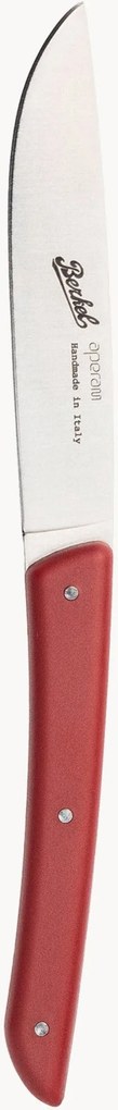 Facas para bife artesanais Color, conjunto de 4