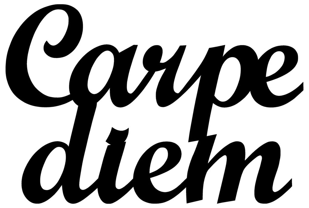 Acessório Decorativo de Parede Carpediem 1 – Preto – 50 x 38 cm