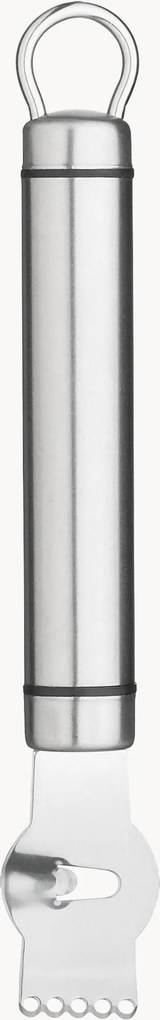 Raspador de citrinos Professional