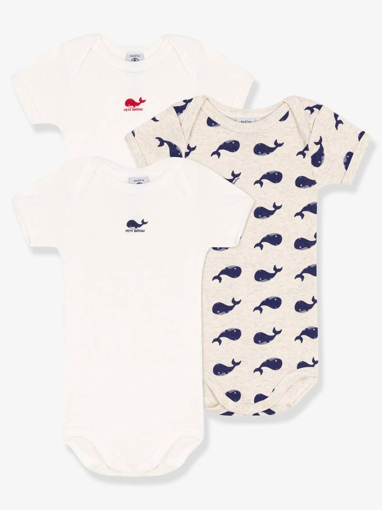 Lote de 3 bodies de mangas curtas, em algodão bio, da Petit Bateau branco