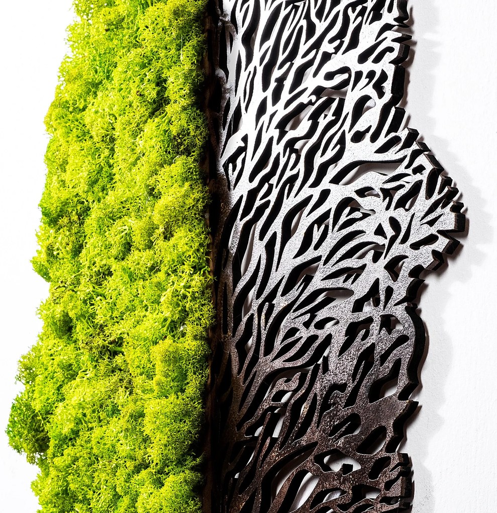 Acessório Decorativo de Parede Green And Dry – Verde e Castanho – 45 x