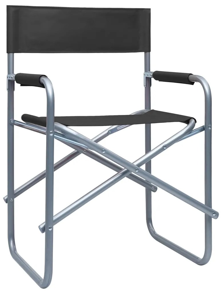 Cadeiras de realizador 2 pcs aço preto