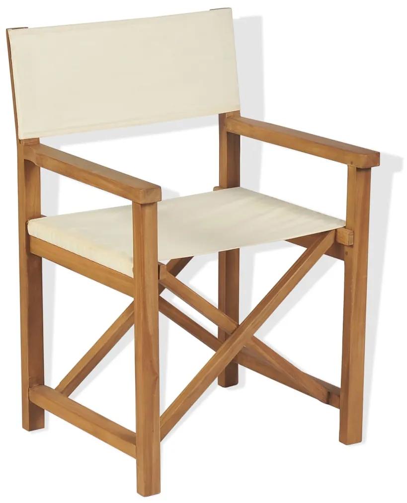 43801 vidaXL Cadeira de realizador dobrável em madeira de teca maciça