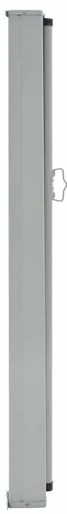 Toldo lateral retrátil para pátio 100x300 cm castanho