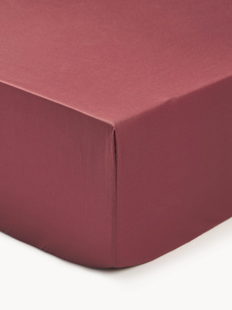Lençol elástico em cetim de algodão Premium