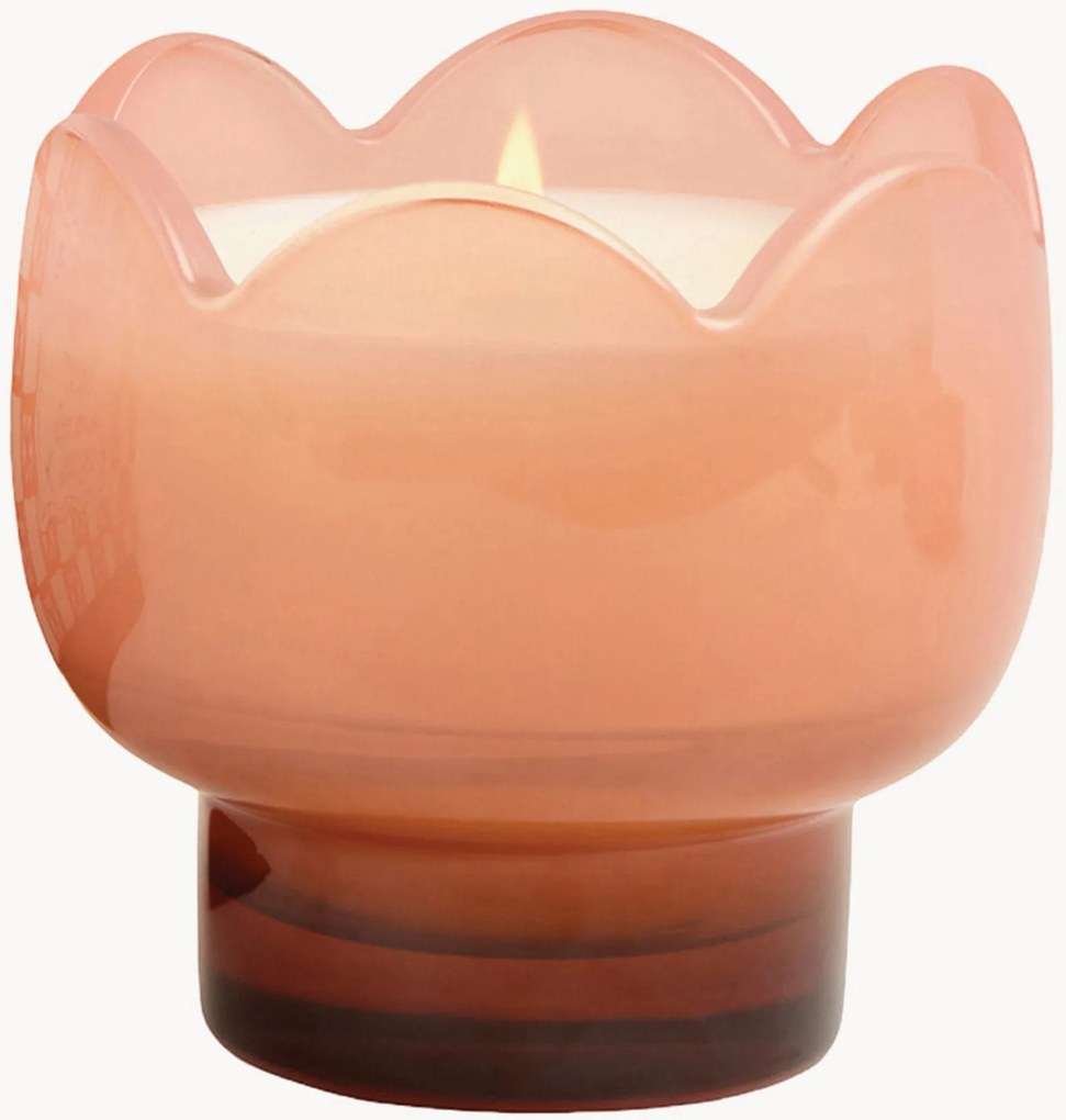 Vela perfumada em vidro Tulip (flor de cato)