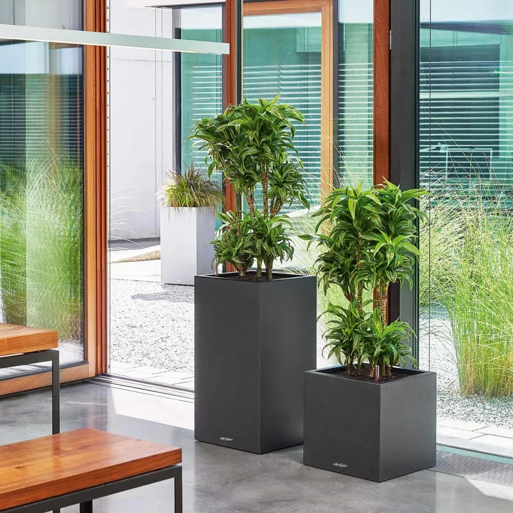 LECHUZA Vaso/floreira CANTO Stone 40 High ALL-IN-ONE preto grafite