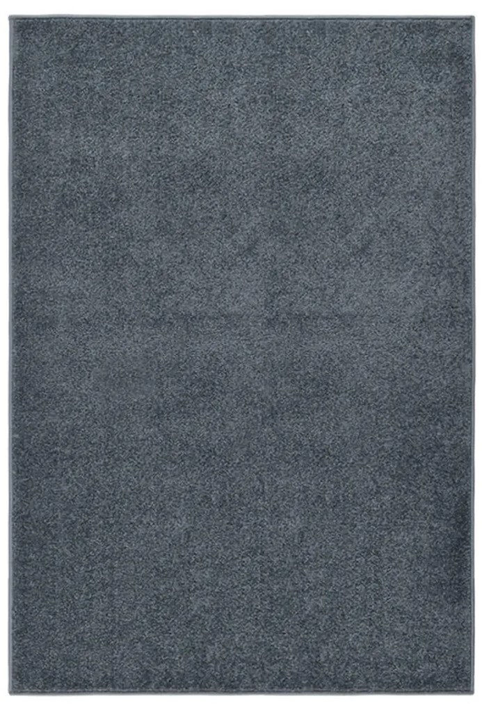 340309 vidaXL Tapete de pelo curto 160x230 cm antracite