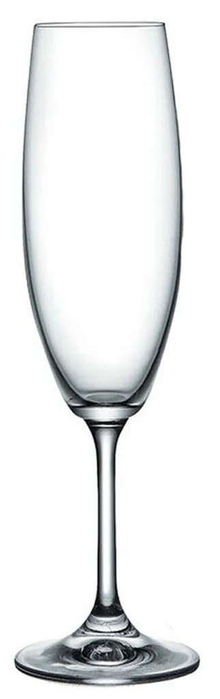 Copo Lara Flute 22CL 6.6X22.5CM