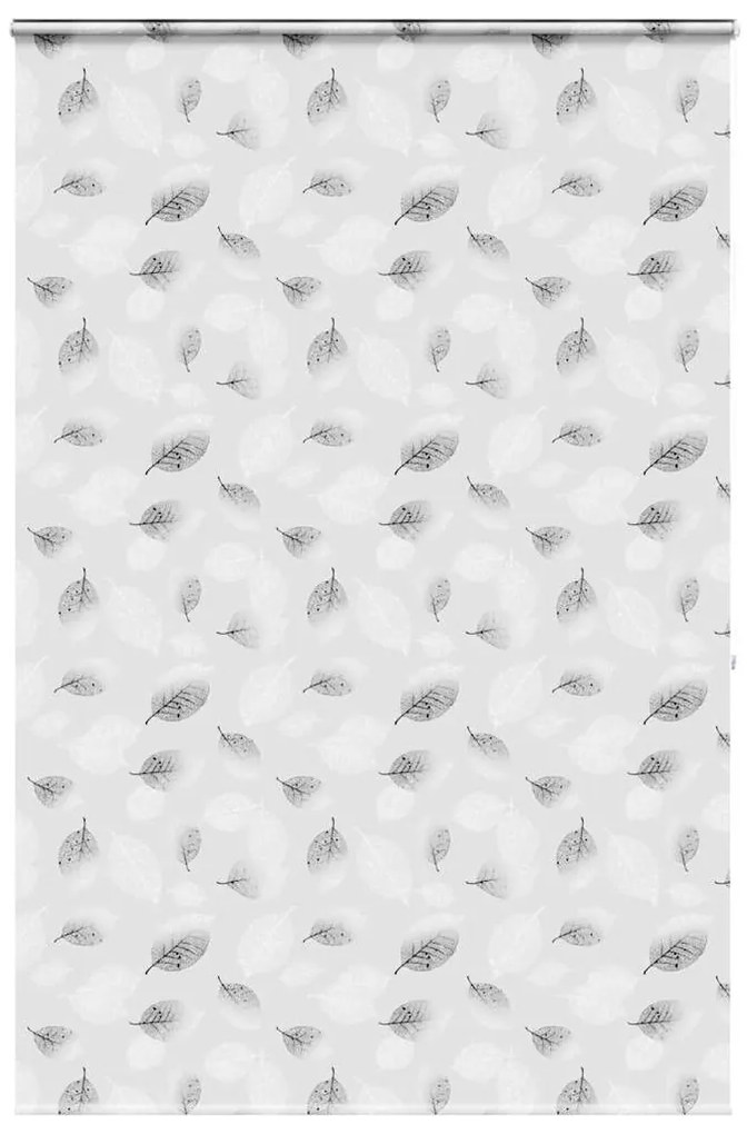 Rolo de Duche Estores cassete 160x240 cm Largura Tecido 156 cm