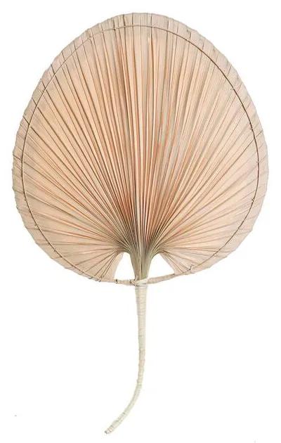 Figura Decorativa DKD Home Decor Folha de planta (41 x 1 x 68 cm)