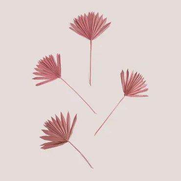 Pack De 4 Ramos Secos Decorativos Urpek Cor-de-rosa Peônia - Sklum