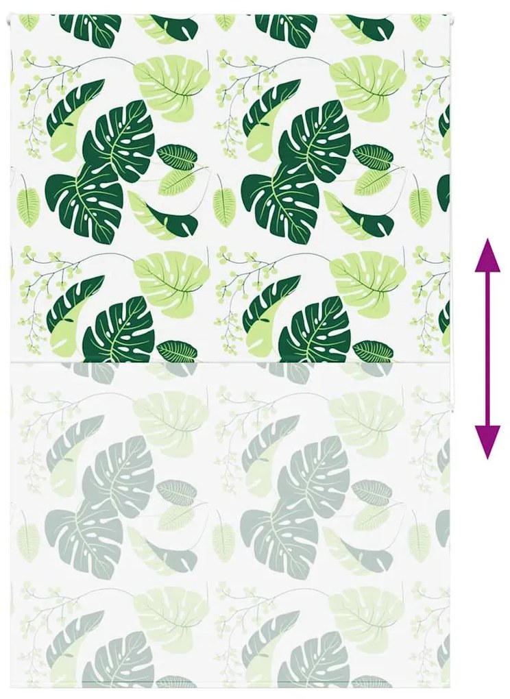 Rolo de Duche Estores 150x240 cm Largura Tecido 146 cm