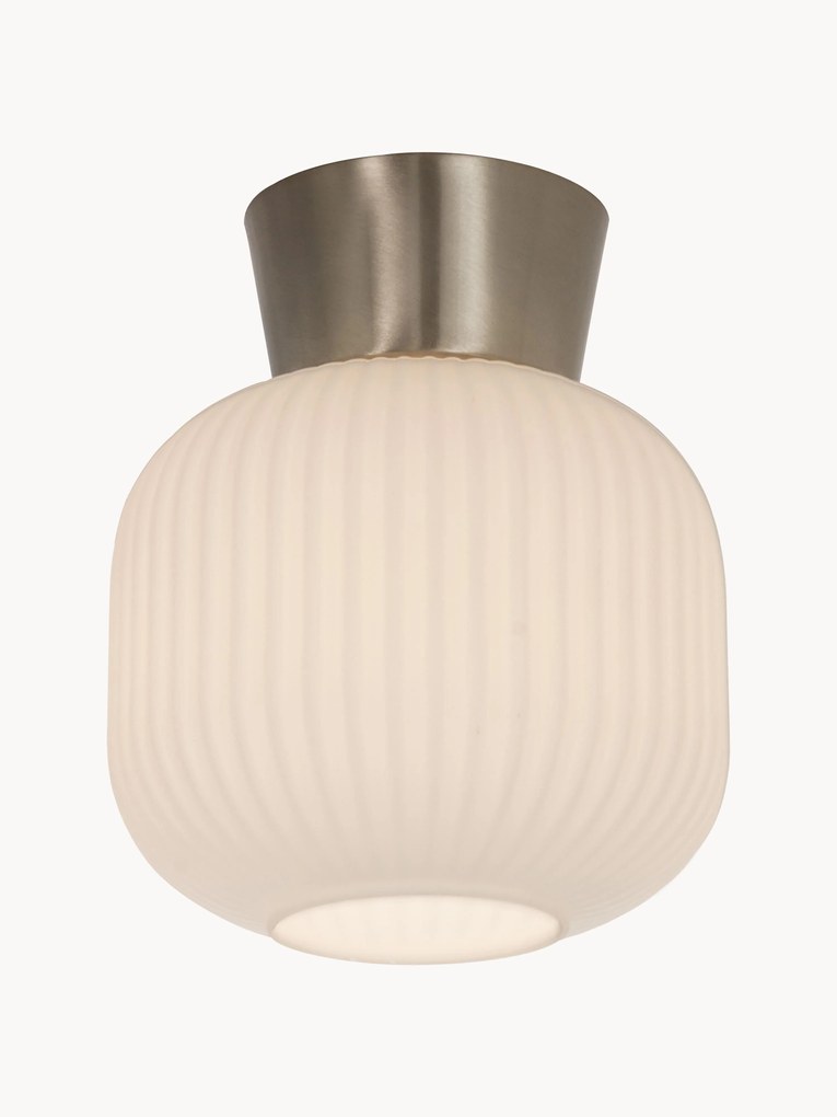 Small Ceiling Spotlight Vanja