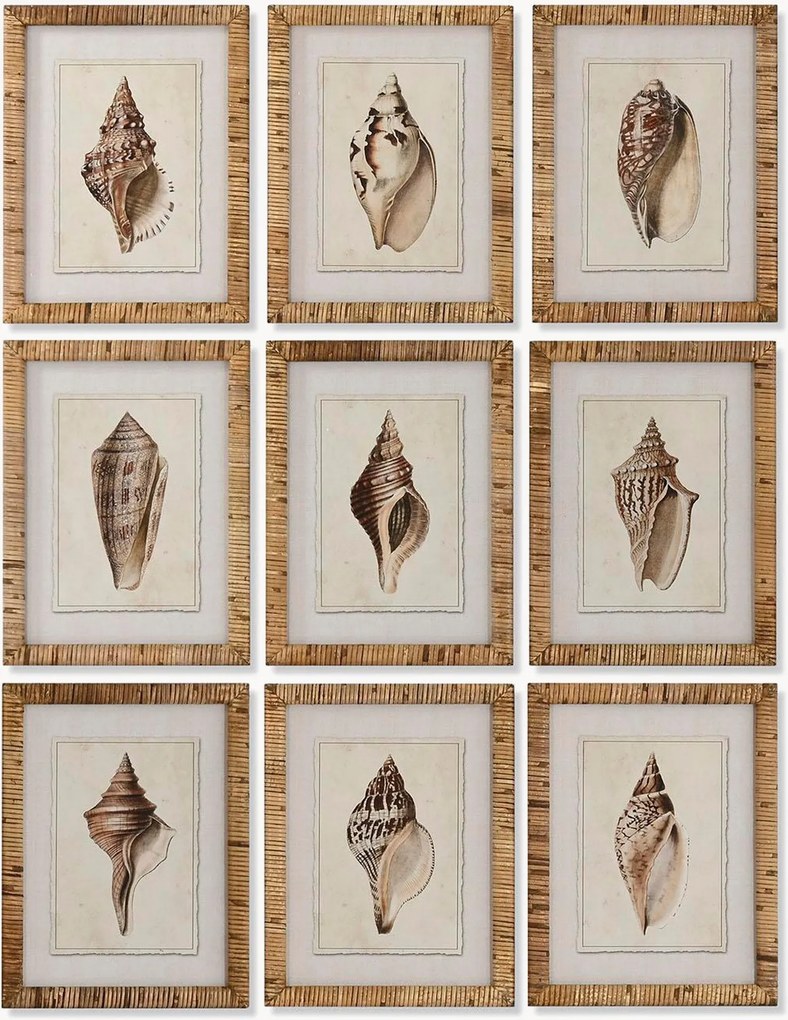 Impressões digitais emolduradas Conch, conjunto de 9