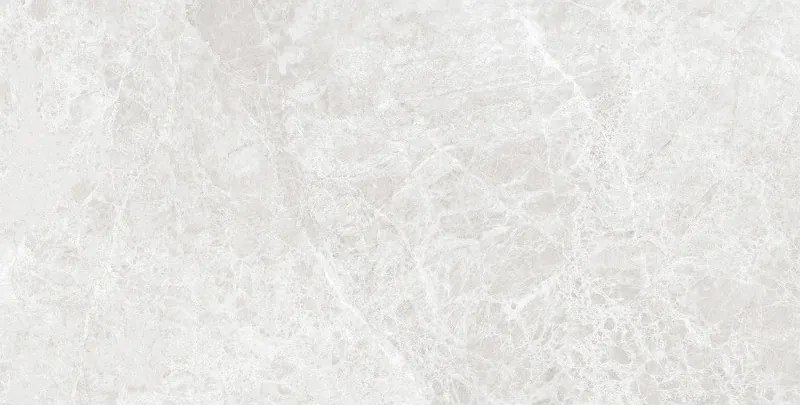 Mexen Lizard Gres prateado esmaltado rekt. G1, ladrilho de piso e parede 120 x 60 cm, brilho - TL109-120-060-03