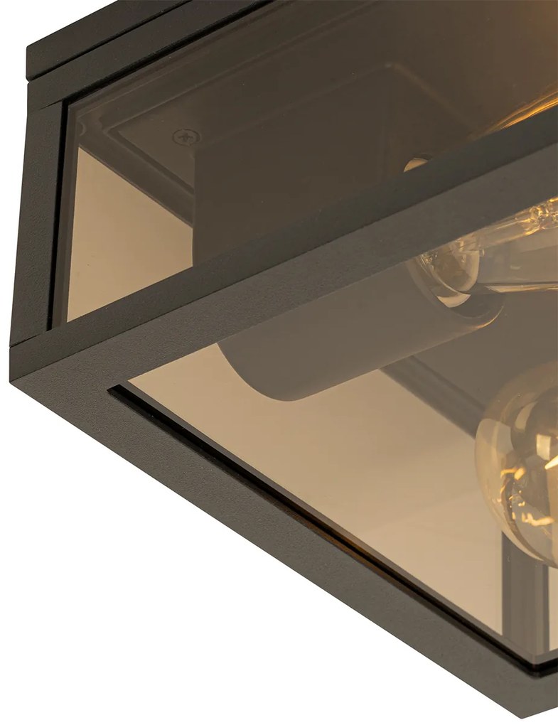 Candeeiro de teto preto com vidro fumê 2 luzes IP44 - Charlois Moderno