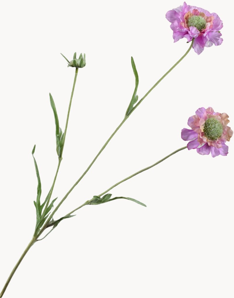 Flores artificiais Scabiosa, conjunto de 2
