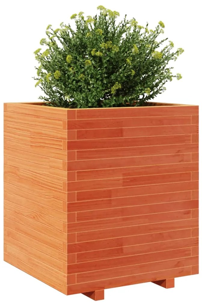 Vaso/floreira de jardim 60x60x72,5 cm pinho maciço castanho mel