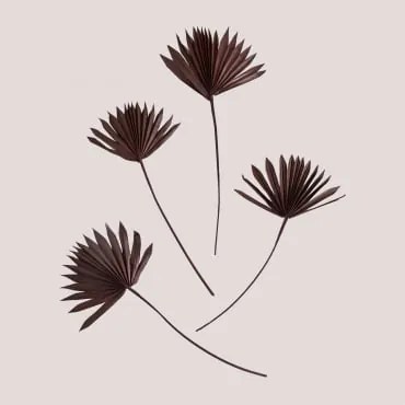 Pack De 4 Ramos Secos Decorativos Urpek Castanho Café - Sklum