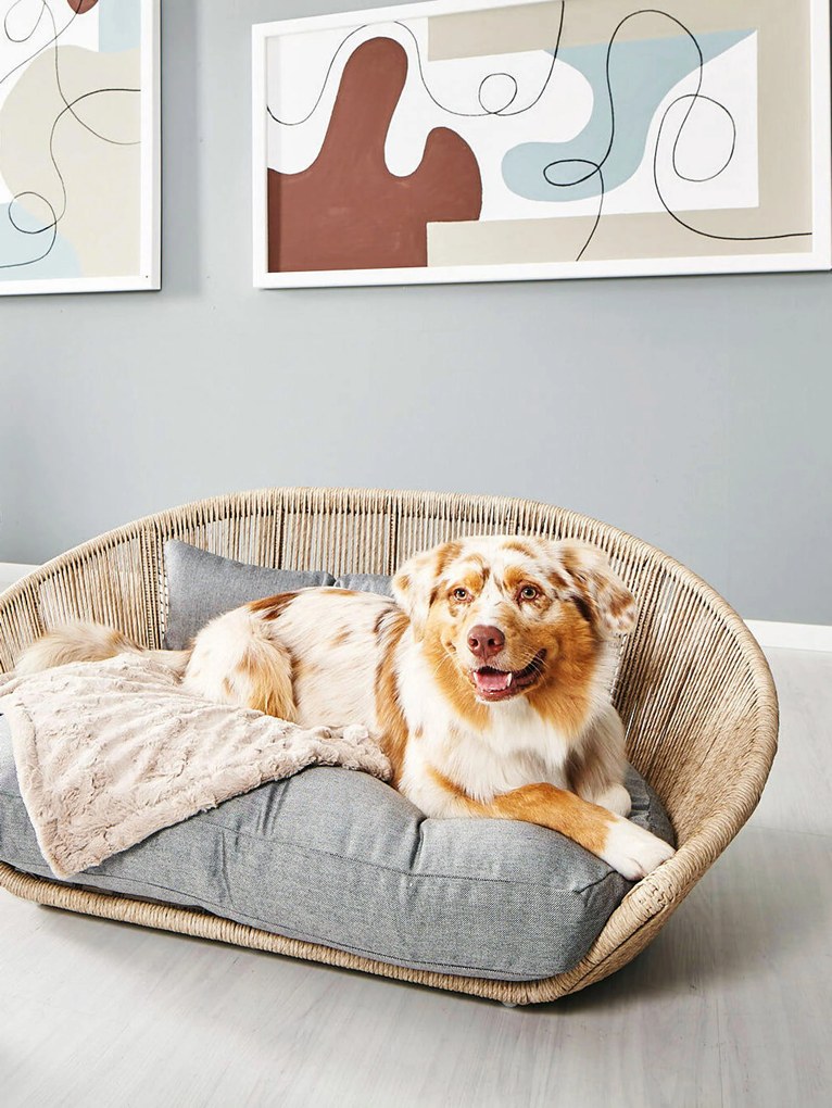 Cama para cães para interior e exterior Vogue