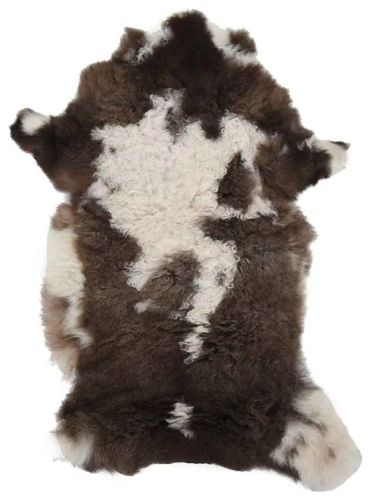 Pele de ovelha (60-70)x(90-100) cm multicolor