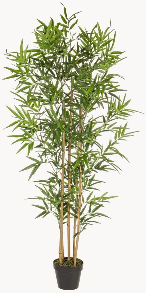 Plantas artificiais Bamboo, conjunto de 2
