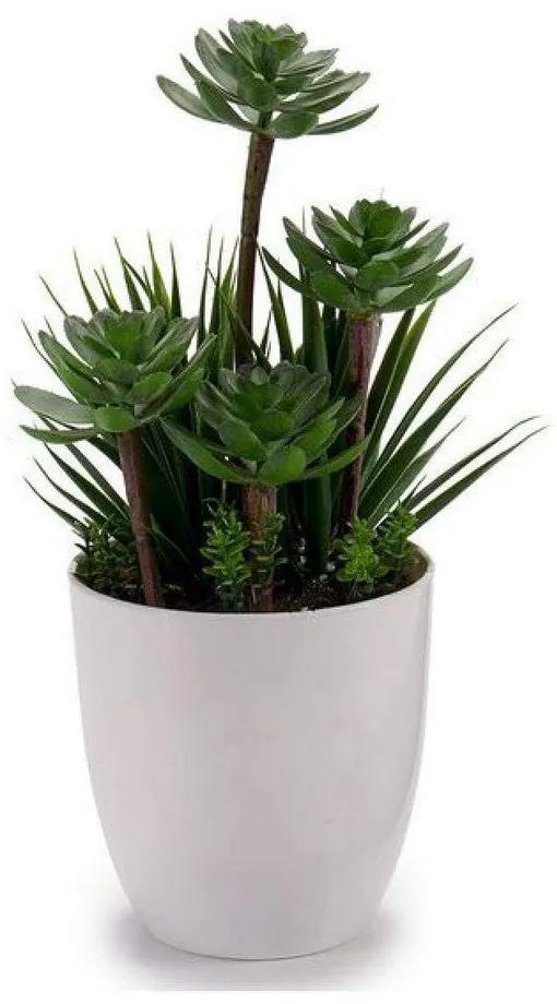 Planta Decorativa Plástico (14 x 30 x 14 cm)