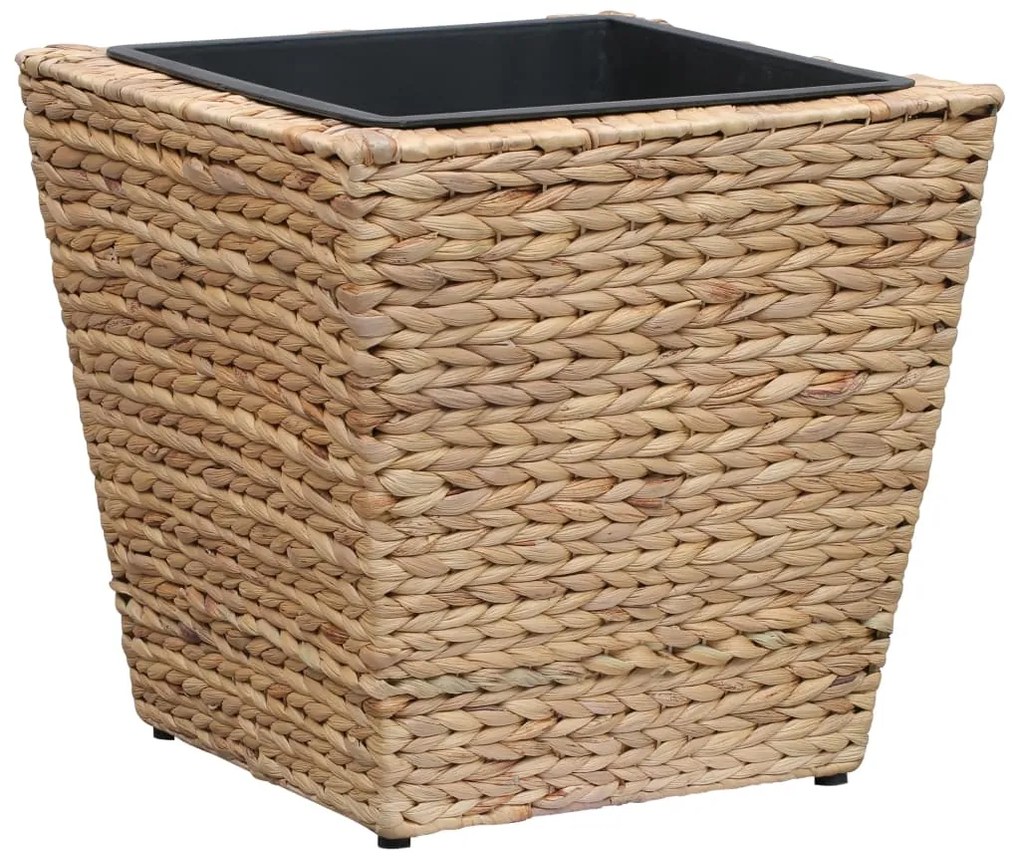 Vasos/floreiras 3 pcs jacinto de água