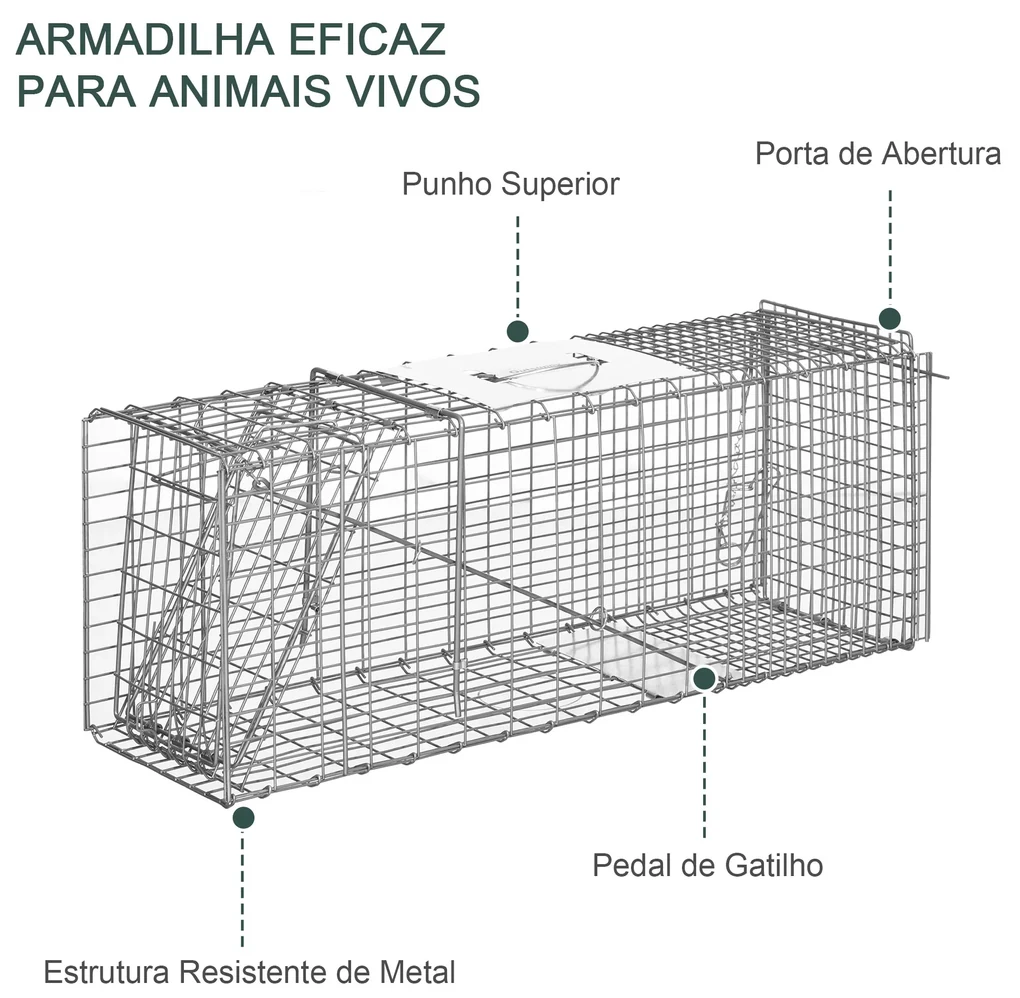 Armadilha na Abertura! 