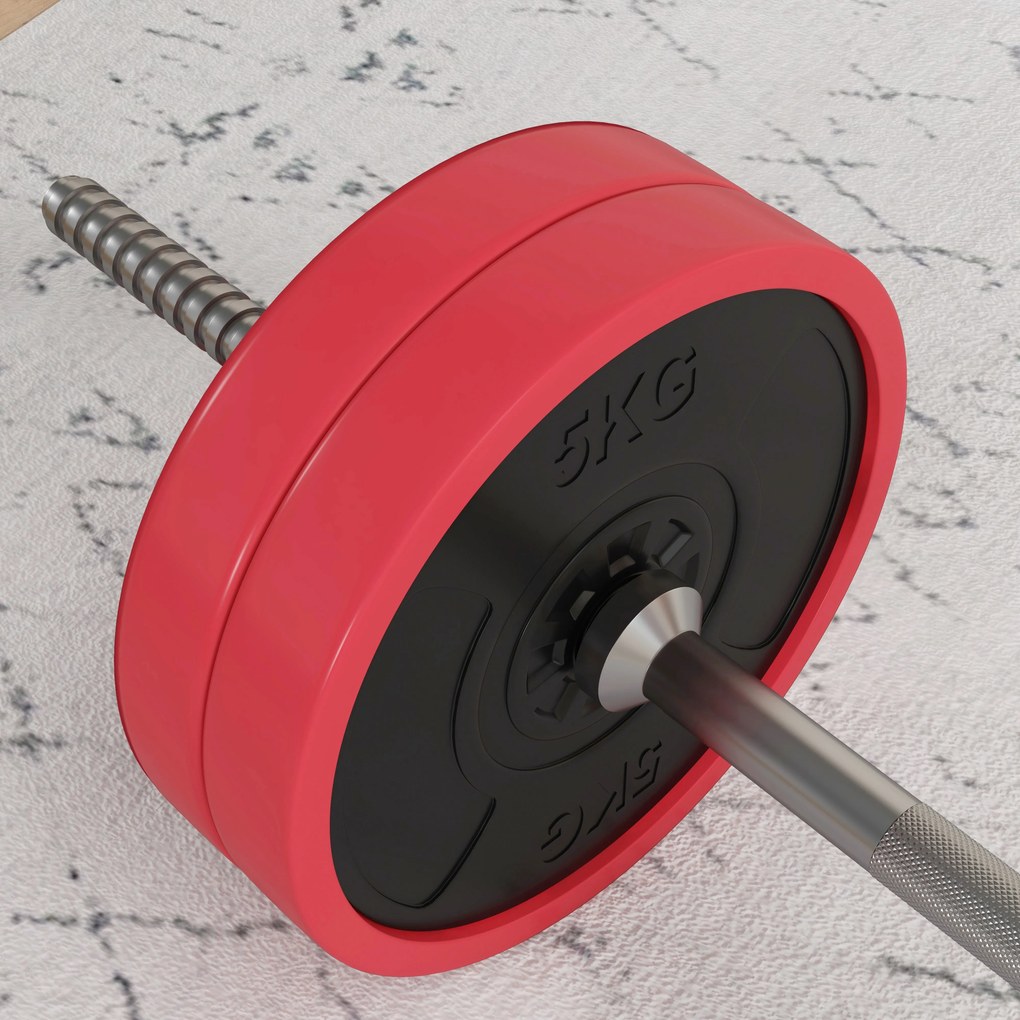 SPORTNOW Conjunto de Barra de Pesos 30 kg com Discos Conjunto de Muscu