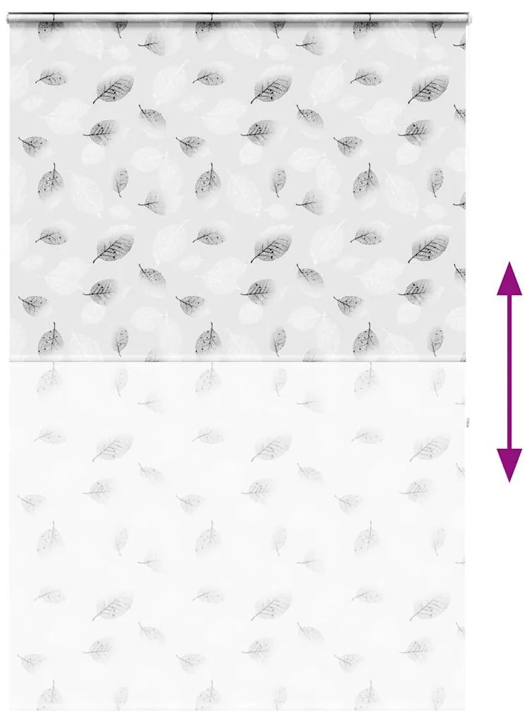 Rolo de Duche Estores cassete 150x240 cm Largura Tecido 146 cm