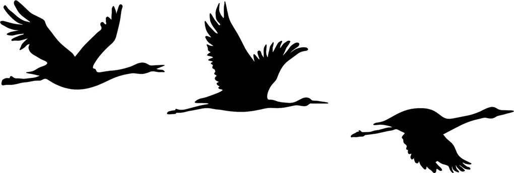 Acessório Decorativo de Parede Migrant Birds – Preto – 14 x 26 cm, 18