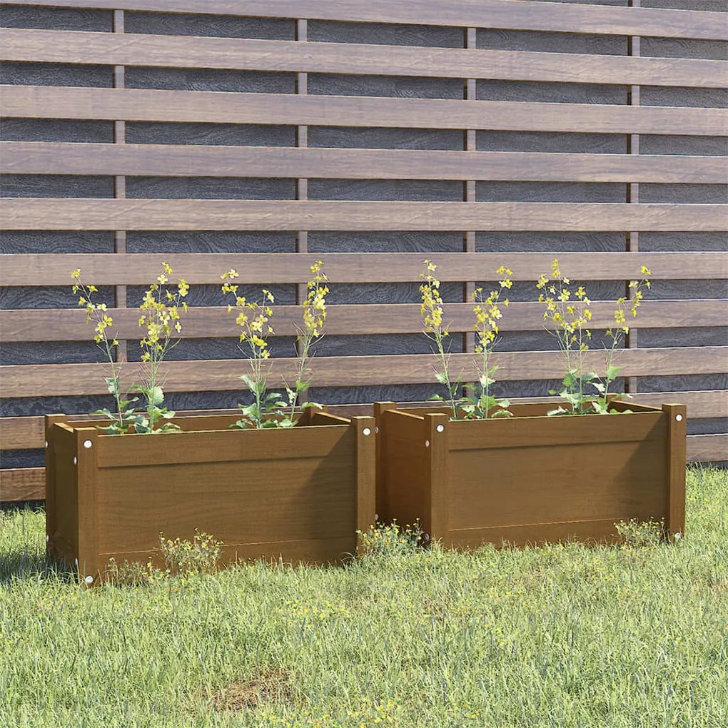vidaXL Vasos/floreiras 2 pcs 60x31x31 cm pinho maciço castanho mel