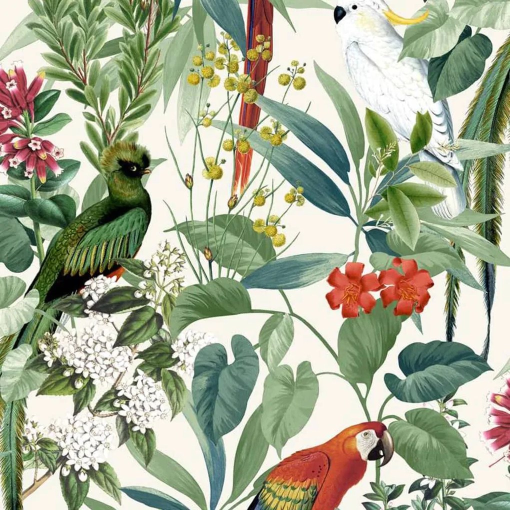 426233 DUTCH WALLCOVERINGS Papel de parede pássaros tropicais branco e verde