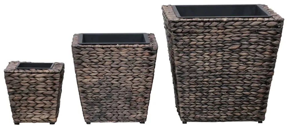 Vasos/floreiras 3 pcs jacinto de água castanho