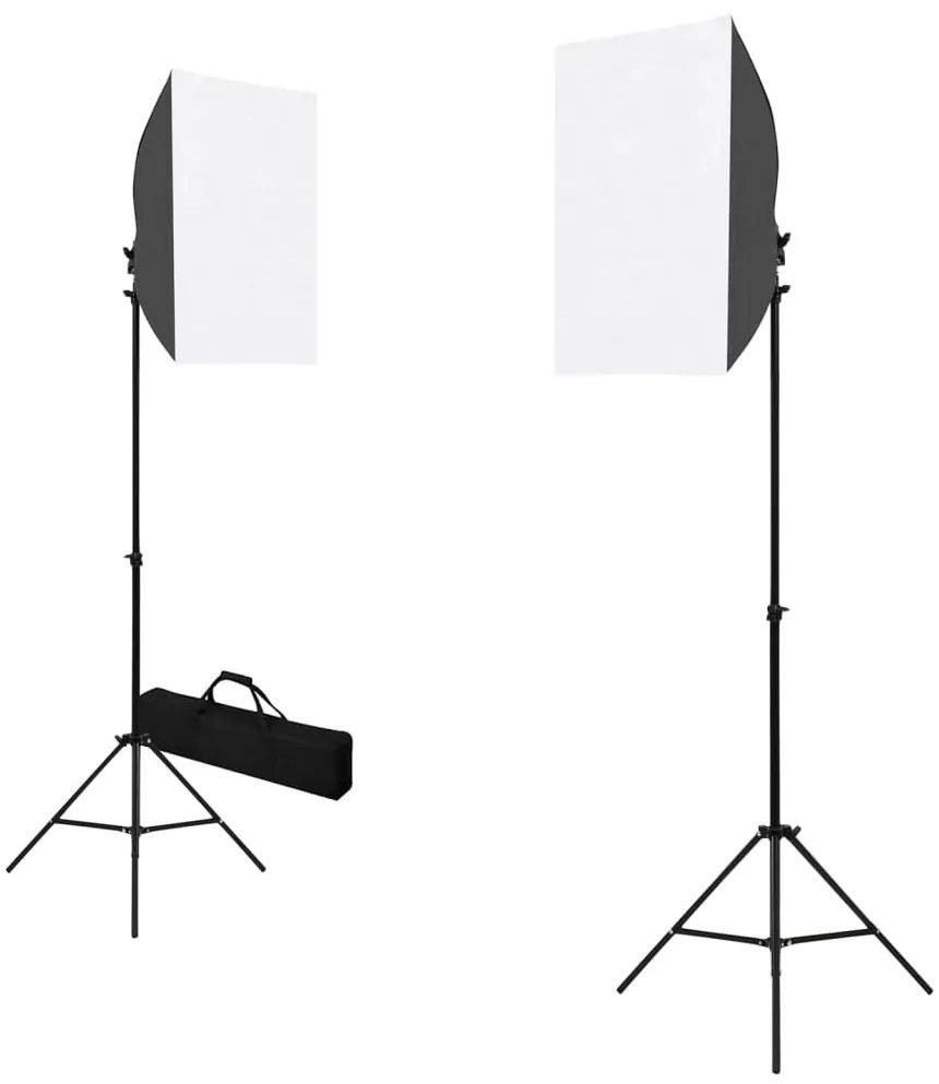 190216 vidaXL Iluminação de estúdio profissional 2 pcs 40x60 cm aço preto