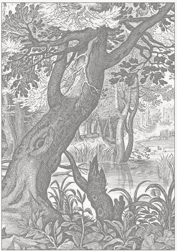 Papel de parede não tecido Engraved Landscapes