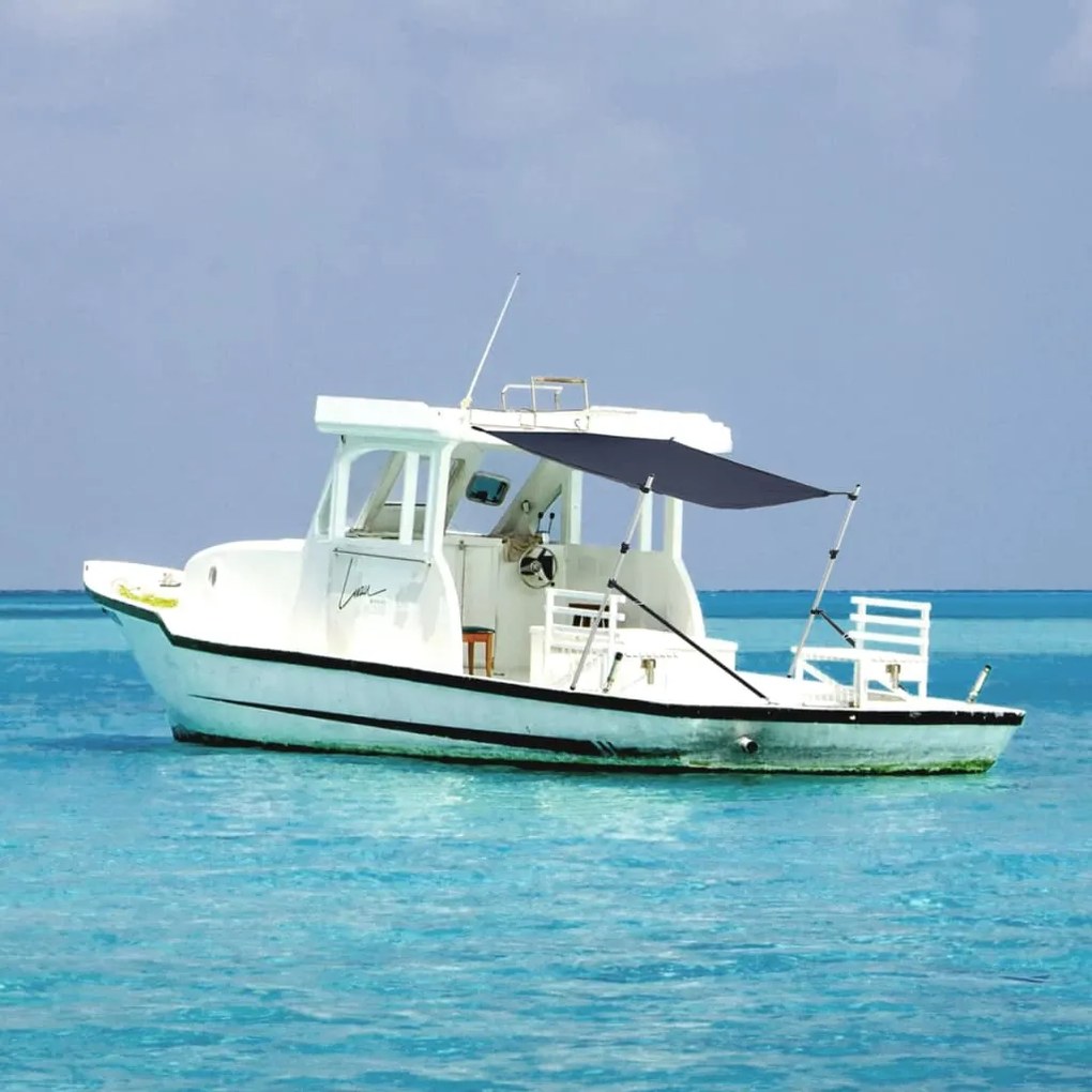 vidaXL Extensão de toldo em T 170x208x(115-183) cm azul-marinho