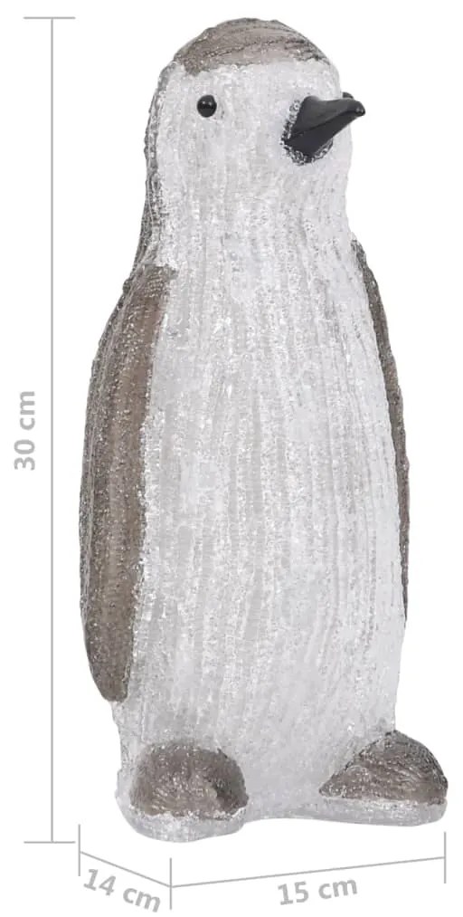 Figura pinguim acrílico c/ luzes LED interior e exterior 30 cm