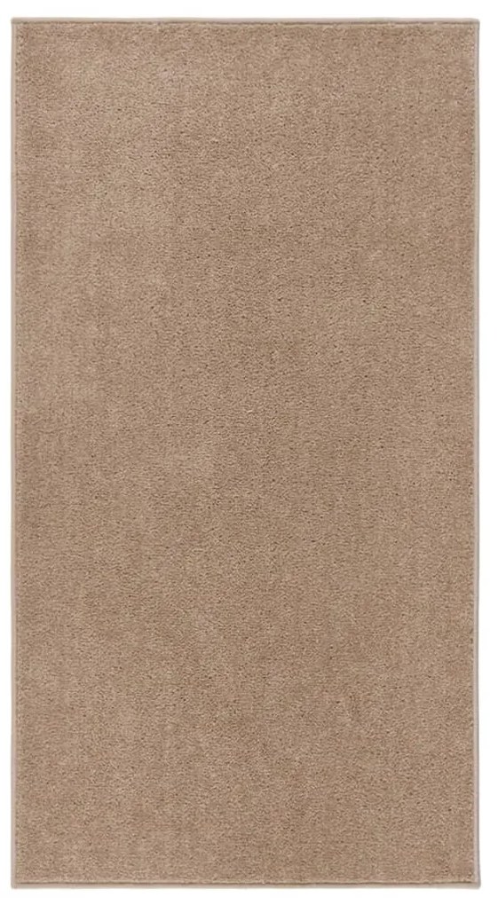 vidaXL Tapete de pelo curto 80x150 cm castanho