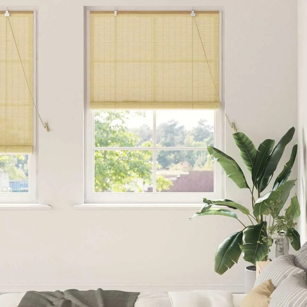 vidaXL Estores de rolo com cortinas Manual Natura 120 x 220 cm Bambu