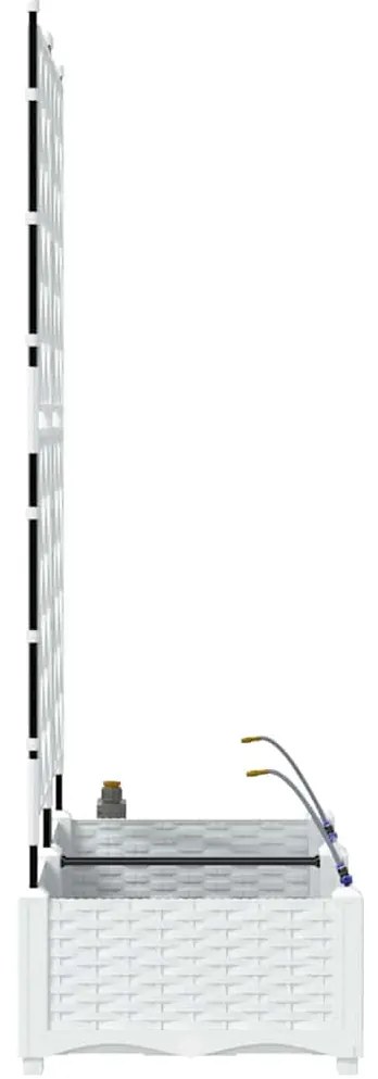 Vasos de Jardim Treliça Branco 80 x 40 x 126 cm Plástico