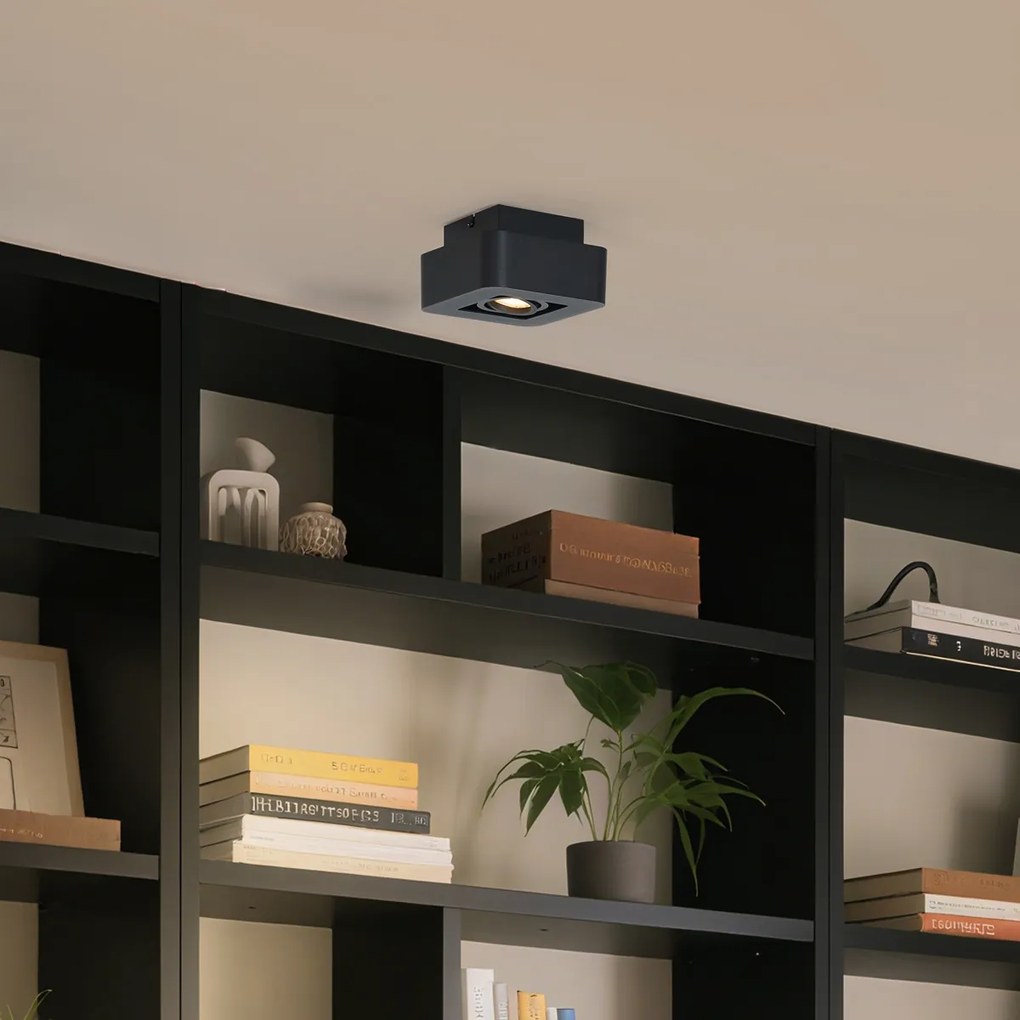 Foco de superfície arredondado preto rotativo e inclinável - Dox