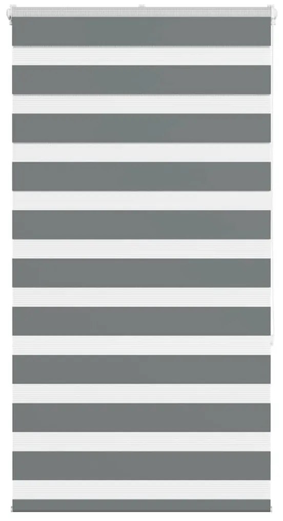 vidaXL Cortina de zebra 75x150 cm largura do tecido 70,9 cm poliéster