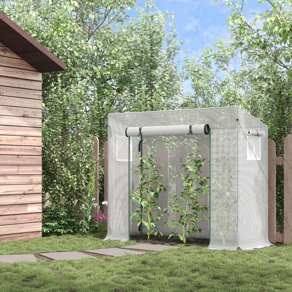 Estufa de Jardim Pequena Estufa de Exterior com Janelas e Estrutura de