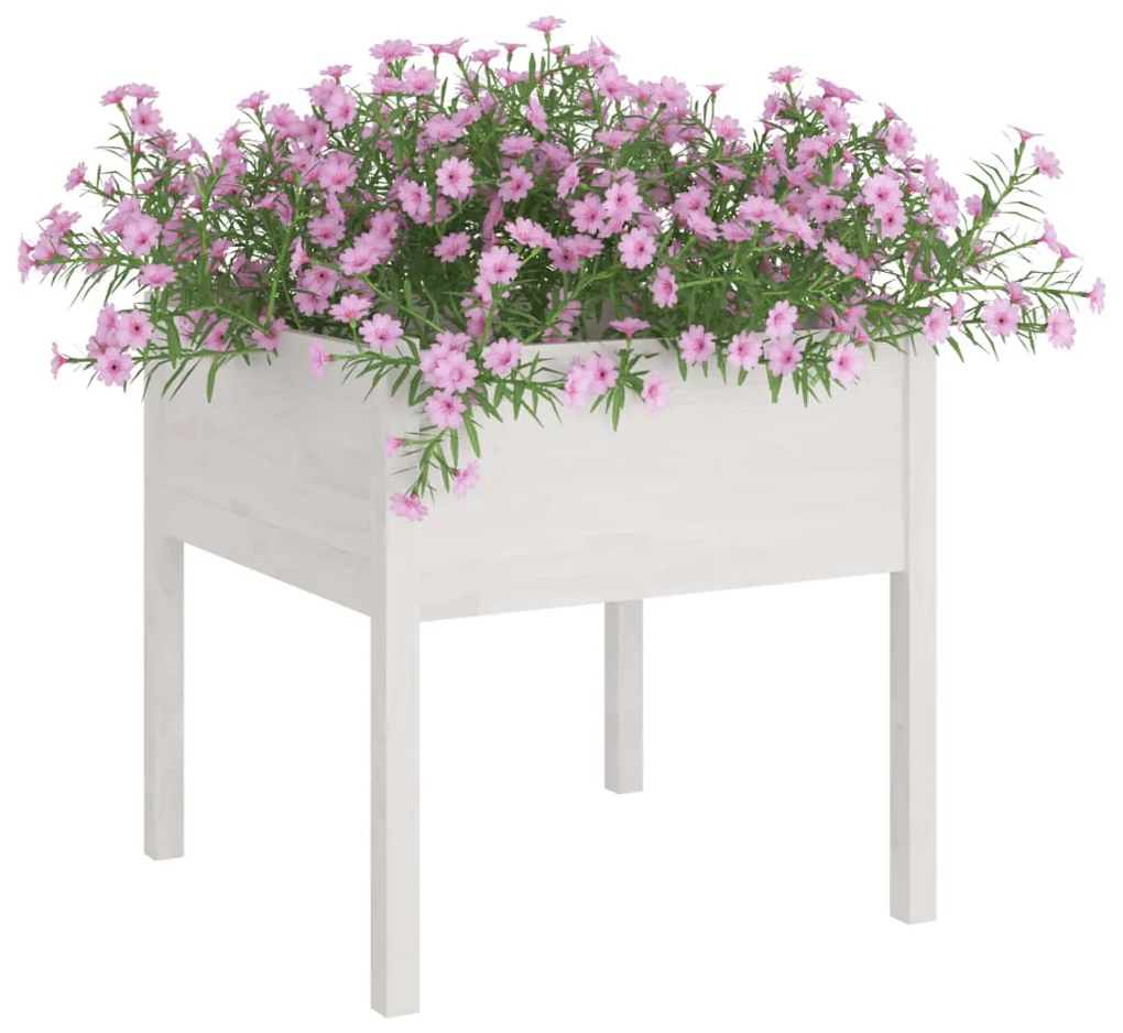 Vaso de jardim 70x70x70 cm madeira de pinho maciça branco