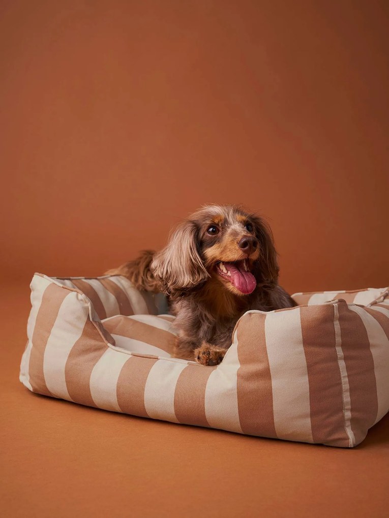 Cesto acolchoado Family, para animal de companhia riscas brancas