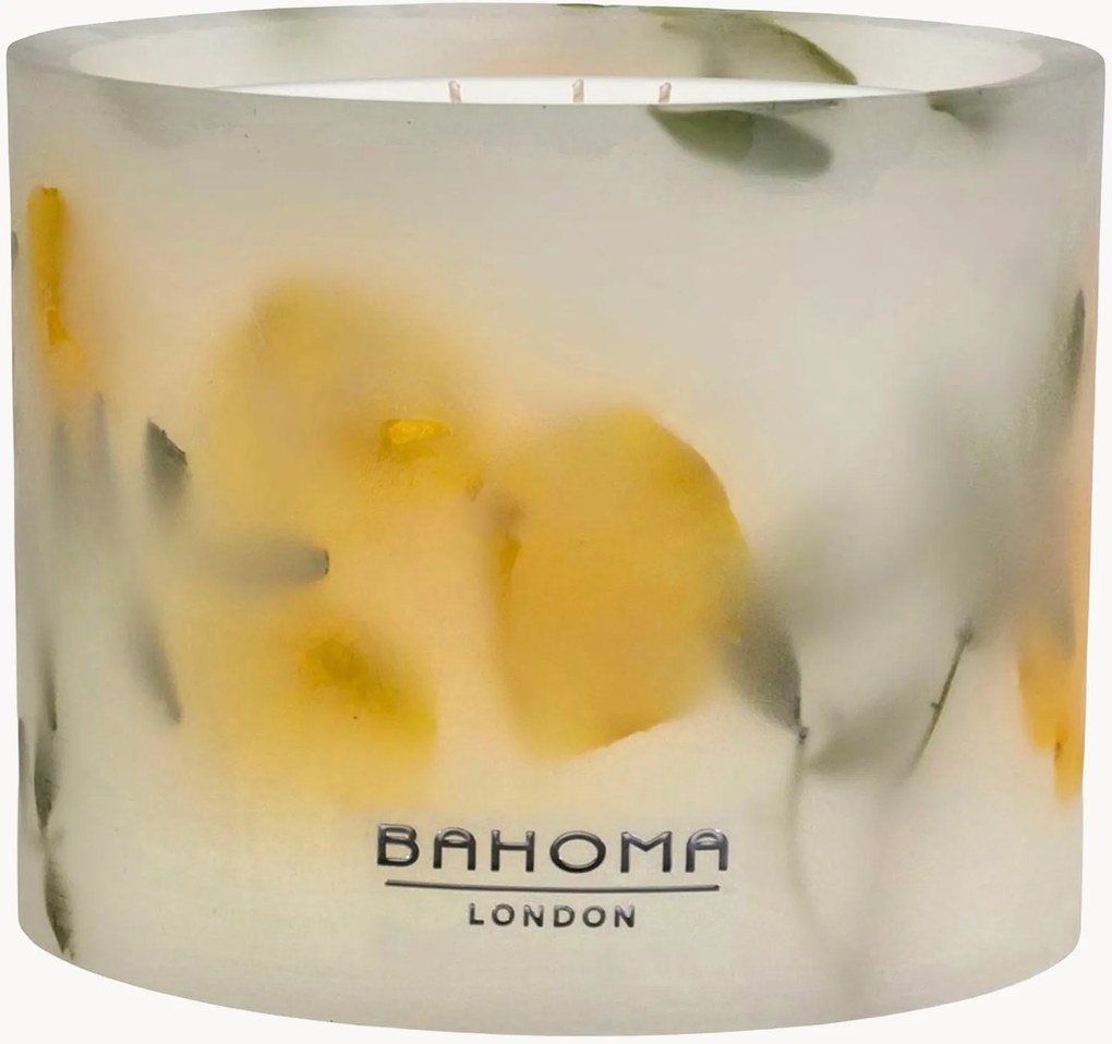 Vela perfumada com três pavios artesanal Botanica (cítricos, almíscar, pinho)